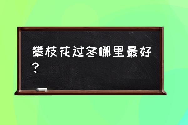 攀枝花买房养老过冬哪里好 攀枝花过冬哪里最好？