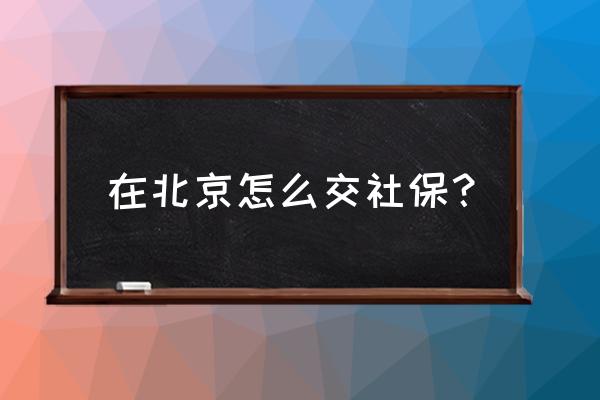 北京怎么缴纳社保 在北京怎么交社保？