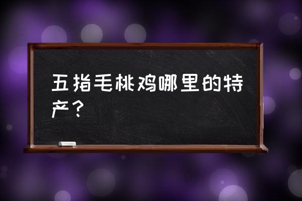 河源五指毛桃鸡怎样买 五指毛桃鸡哪里的特产？