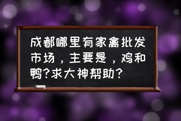 三联家禽批发市场在哪里 成都哪里有家禽批发市场，主要是，鸡和鸭?求大神帮助？