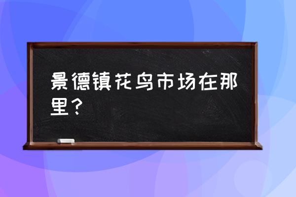 景德镇哪有卖龙猫 景德镇花鸟市场在那里？