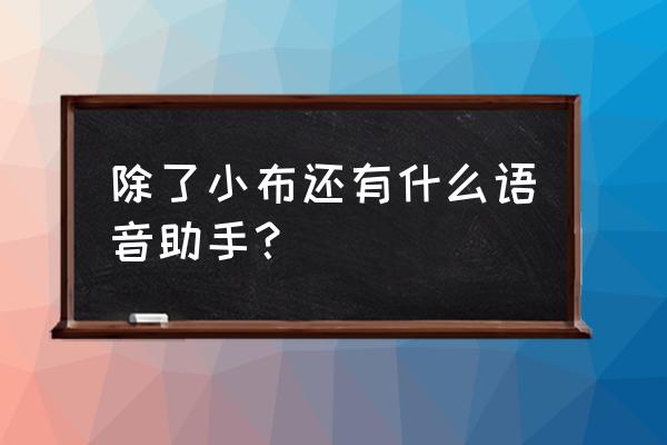 语音识别的人工智能有哪些 除了小布还有什么语音助手？