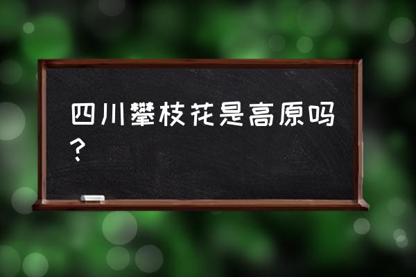 攀枝花是不是高原地区 四川攀枝花是高原吗？