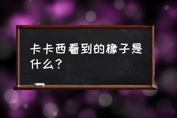 卡卡西说凯的什么像橡果第几集 卡卡西看到的橡子是什么？