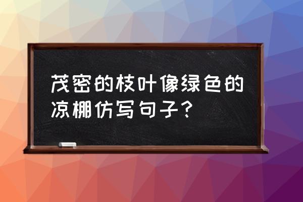 大树像什么的比喻句小学二年级的 茂密的枝叶像绿色的凉棚仿写句子？