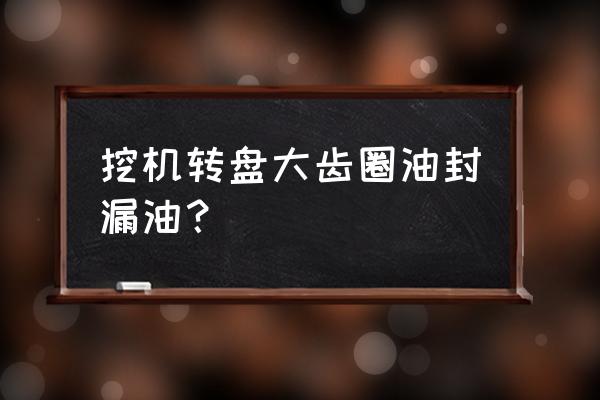 灵魂潮汐废弃石场攻略 挖机转盘大齿圈油封漏油？