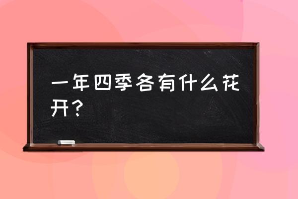 春天三月有什么花 一年四季各有什么花开？