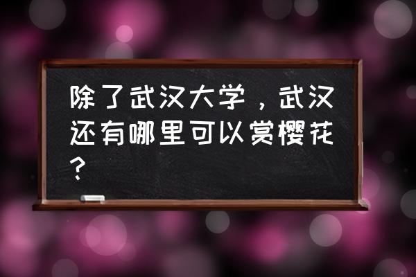 武汉大学磨山樱花园攻略 除了武汉大学，武汉还有哪里可以赏樱花？