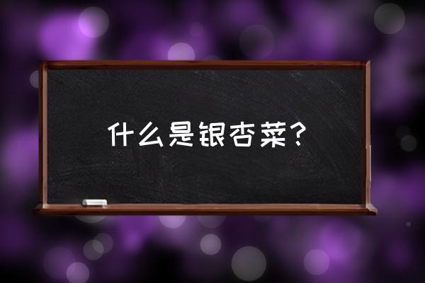 银杏树的外形特征和主要特点 什么是银杏菜？