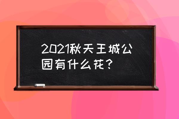 秋天什么花是五彩缤纷的 2021秋天王城公园有什么花？