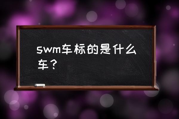 斯威x3有51座车型吗 swm车标的是什么车？