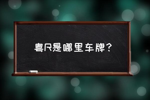 有两个大写字母r是什么车牌 粤R是哪里车牌？