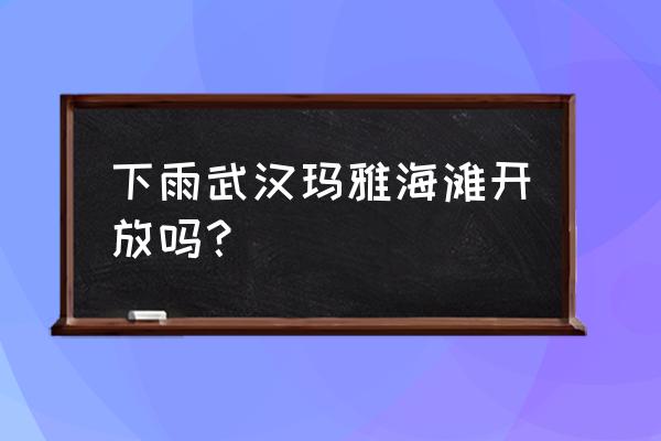 武汉玛雅海滩游玩攻略 下雨武汉玛雅海滩开放吗？