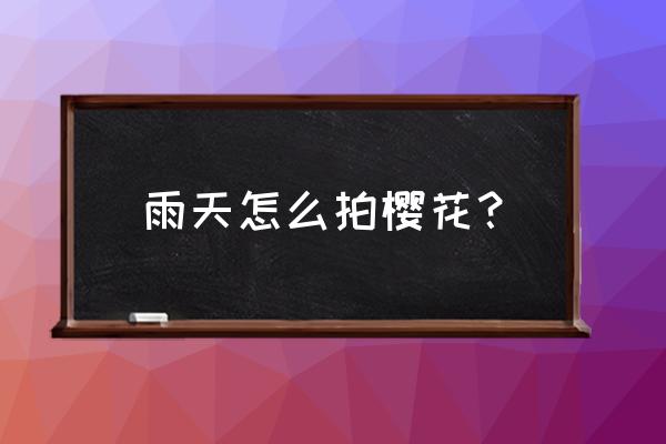 二次拍樱花的正确方法 雨天怎么拍樱花？