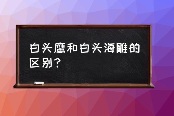 白头海雕怎么画最简单一年级 白头鹰和白头海雕的区别？