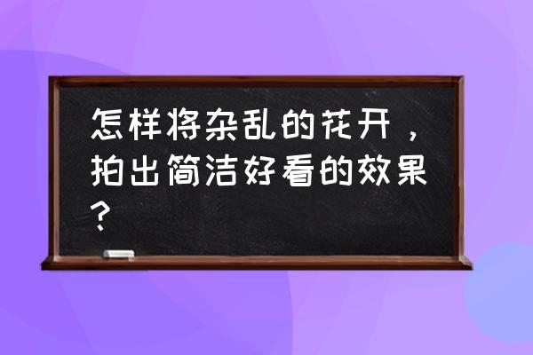 春天来了拍好花卉的八个技巧 怎样将杂乱的花开，拍出简洁好看的效果？