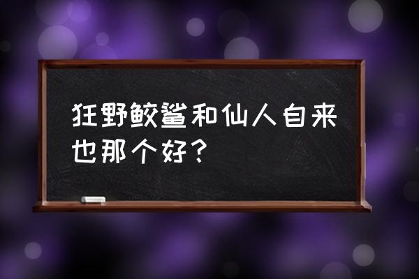 火影手游仙人自来也操作 狂野鲛鲨和仙人自来也那个好？