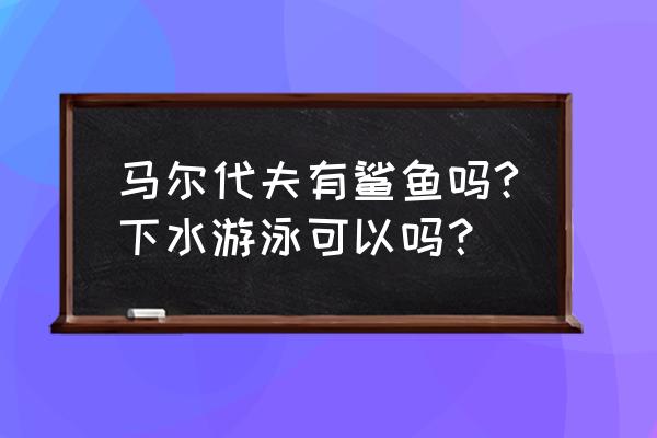 马尔代夫浮潜最好的地方在哪 马尔代夫有鲨鱼吗?下水游泳可以吗？