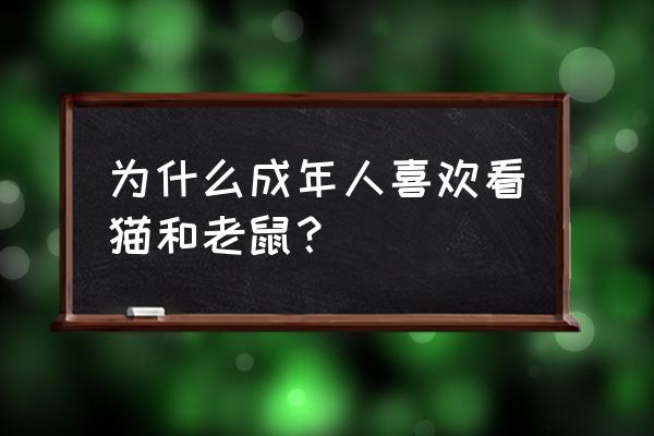 猫和老鼠如何观战队友 为什么成年人喜欢看猫和老鼠？