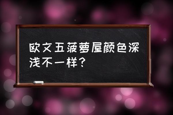 海绵宝宝的菠萝屋怎么画又简单 欧文五菠萝屋颜色深浅不一样？