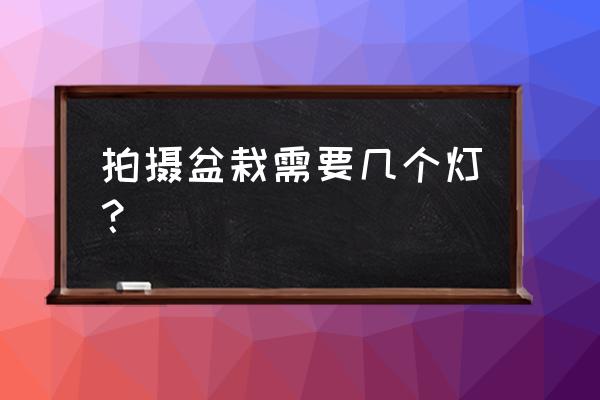 盆栽植物拍摄技巧 拍摄盆栽需要几个灯？