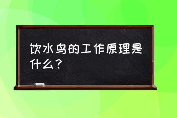 上海马戏城时空之旅b区门票价格 饮水鸟的工作原理是什么？
