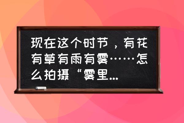 拍花识别软件哪个好 现在这个时节，有花有草有雨有雾……怎么拍摄“雾里看花”呢？