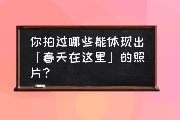 李花人物照片怎么拍好看 你拍过哪些能体现出「春天在这里」的照片？