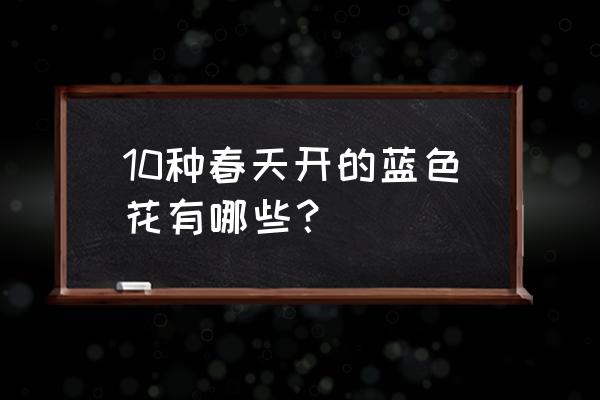 代表春天的花卉有哪些 10种春天开的蓝色花有哪些？