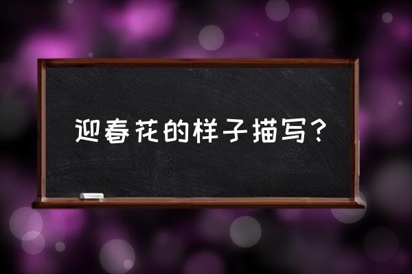 迎春花的样子描写10字 迎春花的样子描写？