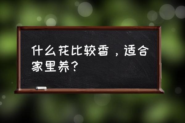 普通家用车买什么颜色的车好 什么花比较香，适合家里养？