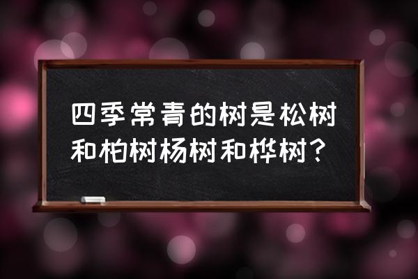 常绿树图片及名称大全 四季常青的树是松树和柏树杨树和桦树？