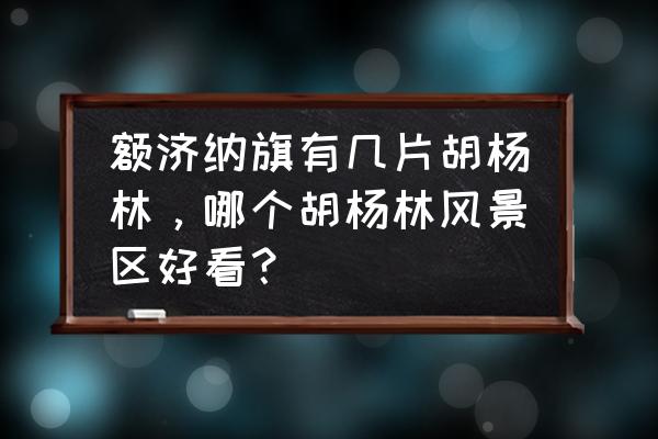 额济纳旗胡杨节举办了多少届 额济纳旗有几片胡杨林，哪个胡杨林风景区好看？