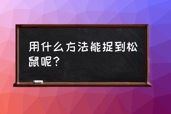 欢乐松鼠谷游玩攻略图 用什么方法能捉到松鼠呢？