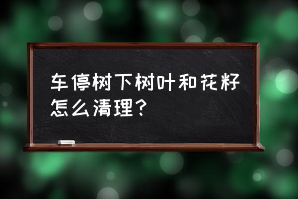 汽车停树底下都是树胶怎么办 车停树下树叶和花籽怎么清理？