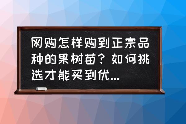 网上订花哪个网站便宜 网购怎样购到正宗品种的果树苗？如何挑选才能买到优质果树苗木？