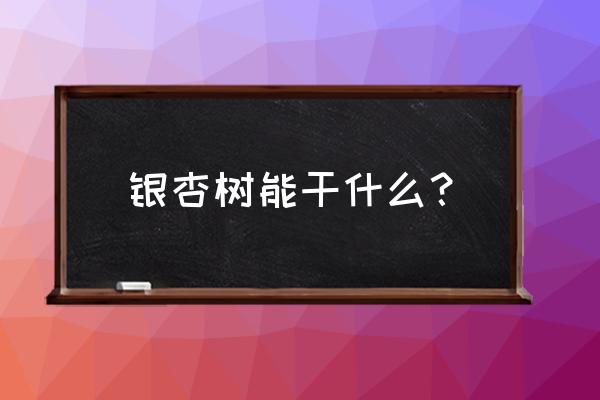 银杏树的果实有什么药用价值吗 银杏树能干什么？