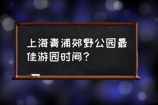 青西郊野公园水上森林车停哪里 上海青浦郊野公园最佳游园时间？