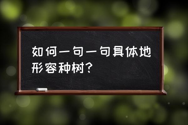 山坡上的树木怎么形容 如何一句一句具体地形容种树？