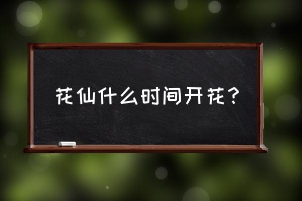 小花仙冬季篇章 花仙什么时间开花？