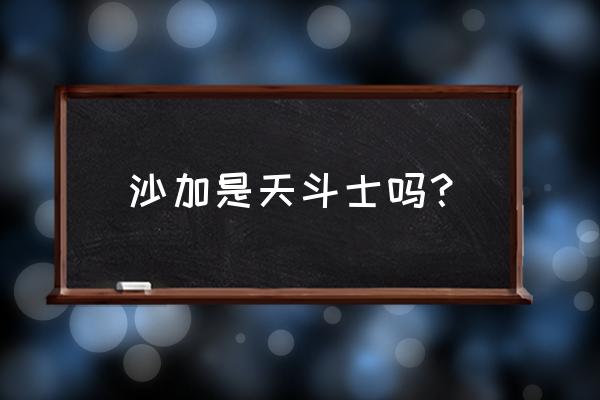 圣斗士星矢沙加传说第九关 沙加是天斗士吗？