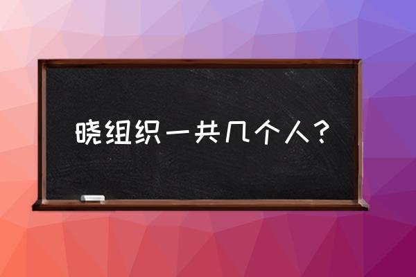 火影忍者进过晓组织的所有忍者 晓组织一共几个人？