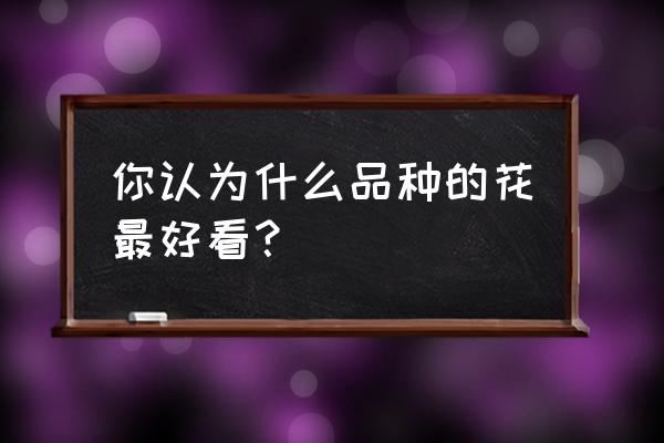 哪里有最好看的花 你认为什么品种的花最好看？