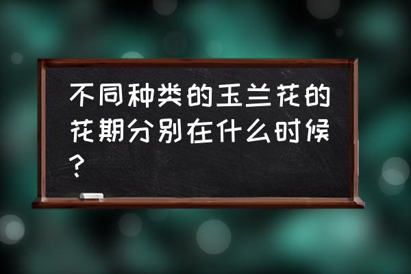 白玉兰开花花期多长一年开几次 不同种类的玉兰花的花期分别在什么时候？