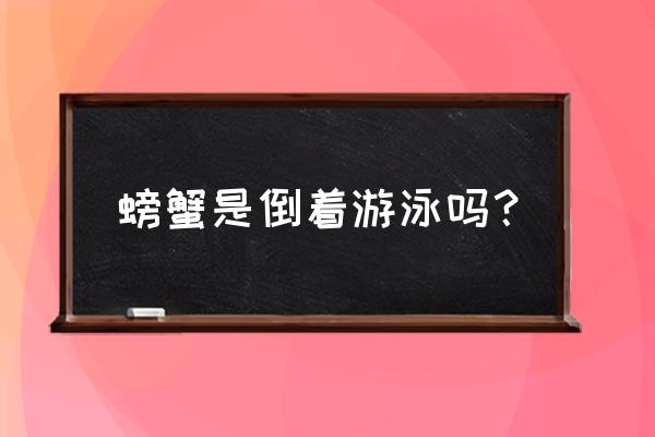 小鱼是怎么游泳 螃蟹是倒着游泳吗？