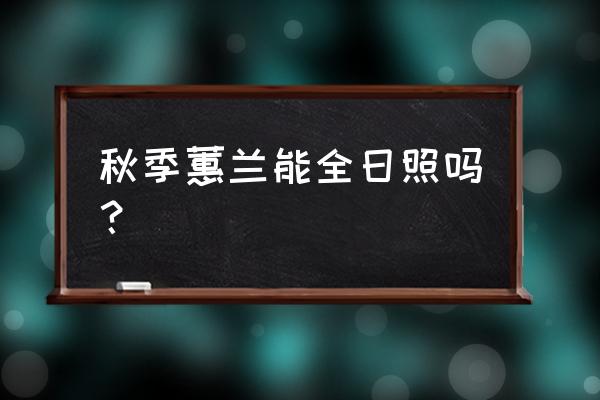 9月份适合去日照旅游吗 秋季蕙兰能全日照吗？