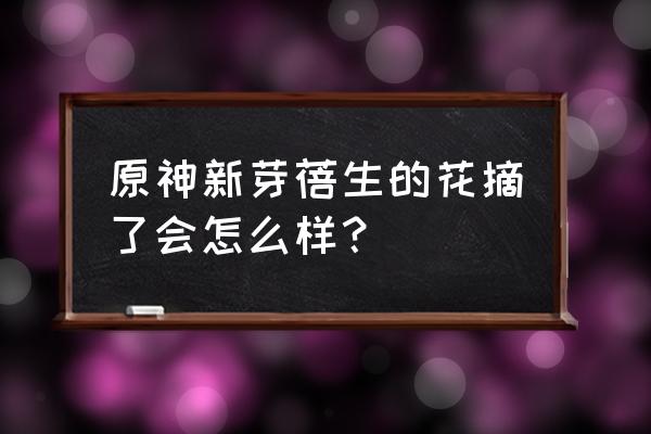 原神甜甜花哪里买 原神新芽蓓生的花摘了会怎么样？