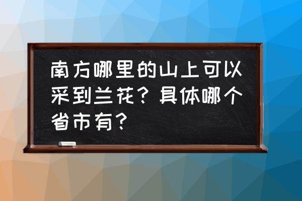 刚进山发现一棵大兰花 南方哪里的山上可以采到兰花？具体哪个省市有？