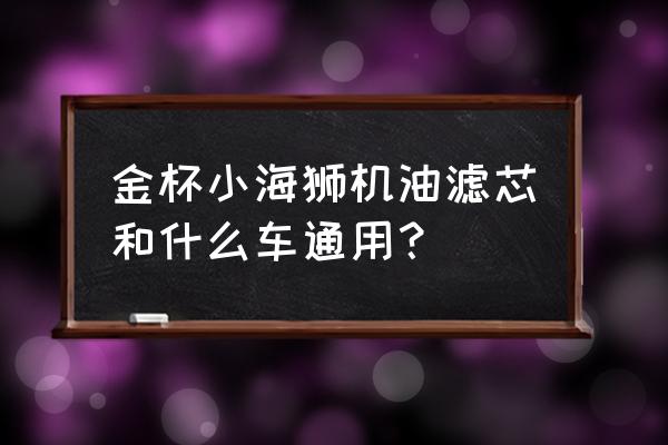 丰田海狮13座后面空调滤芯在哪 金杯小海狮机油滤芯和什么车通用？