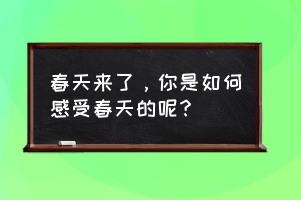 春天又到了你去踏青了吗 春天来了，你是如何感受春天的呢？